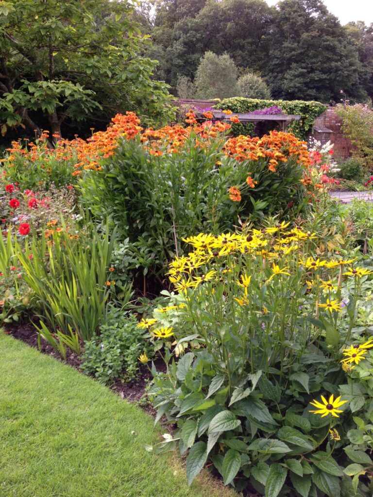 A garden border with yellow daisy flowers and orange lilies
