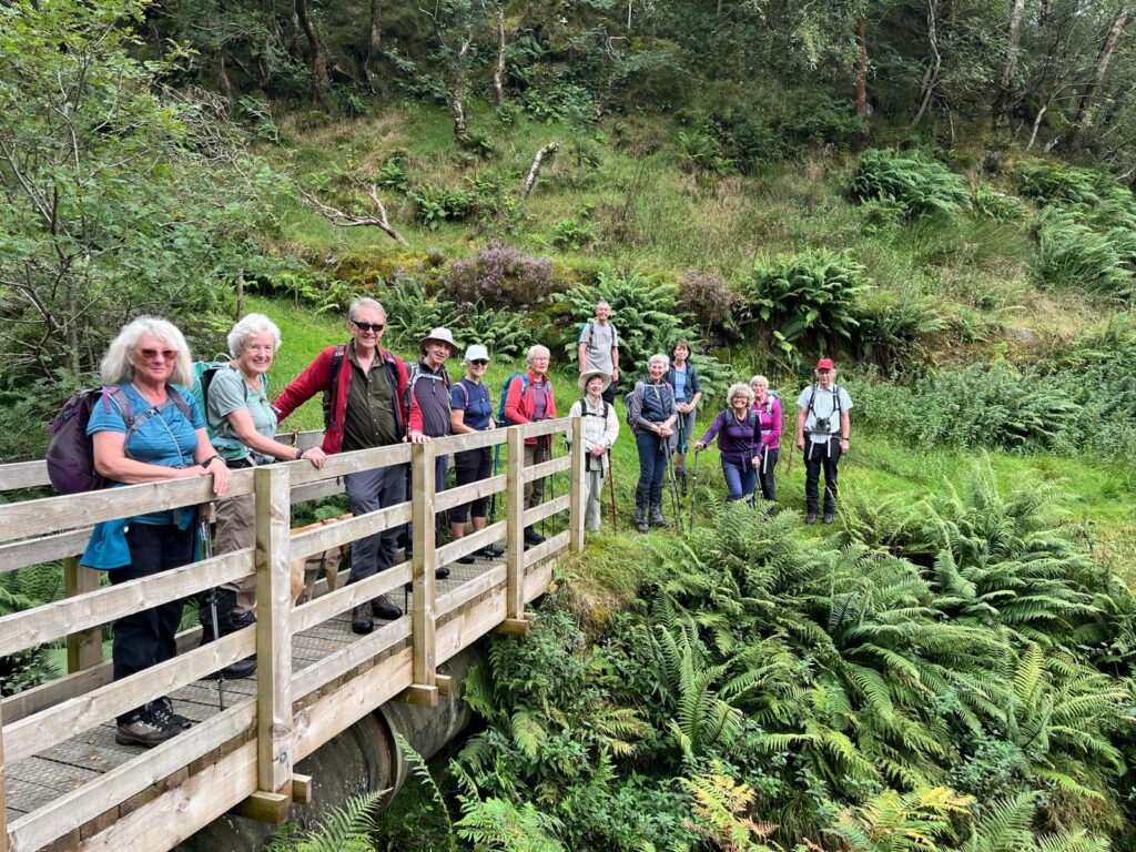 Group of walkers enjoy the view on a wooden footbridge