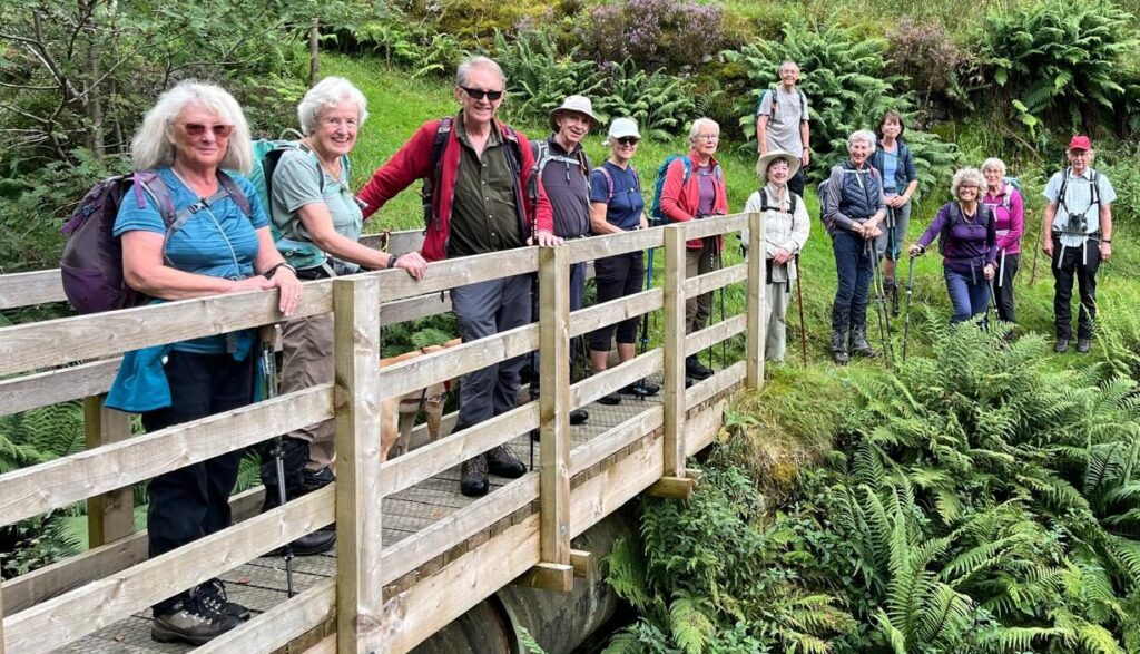 Group of walkers enjoy the view on a wooden footbridge