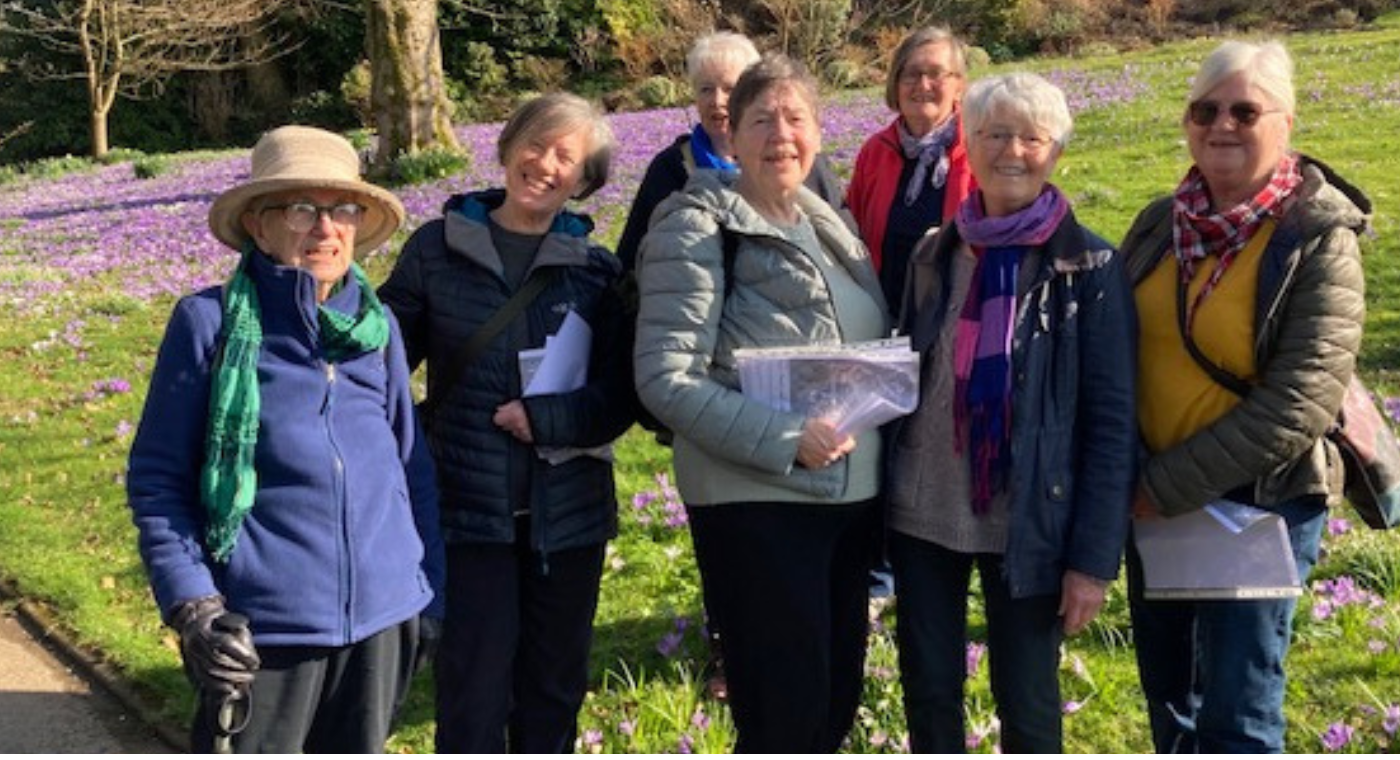 Group of ladies enjoying spring sunshine with a backdrop of purple crocus
